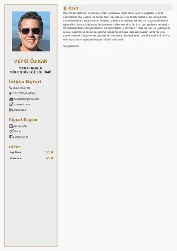 Mekatronik Mühendisliği Cv Örnekleri cv indir